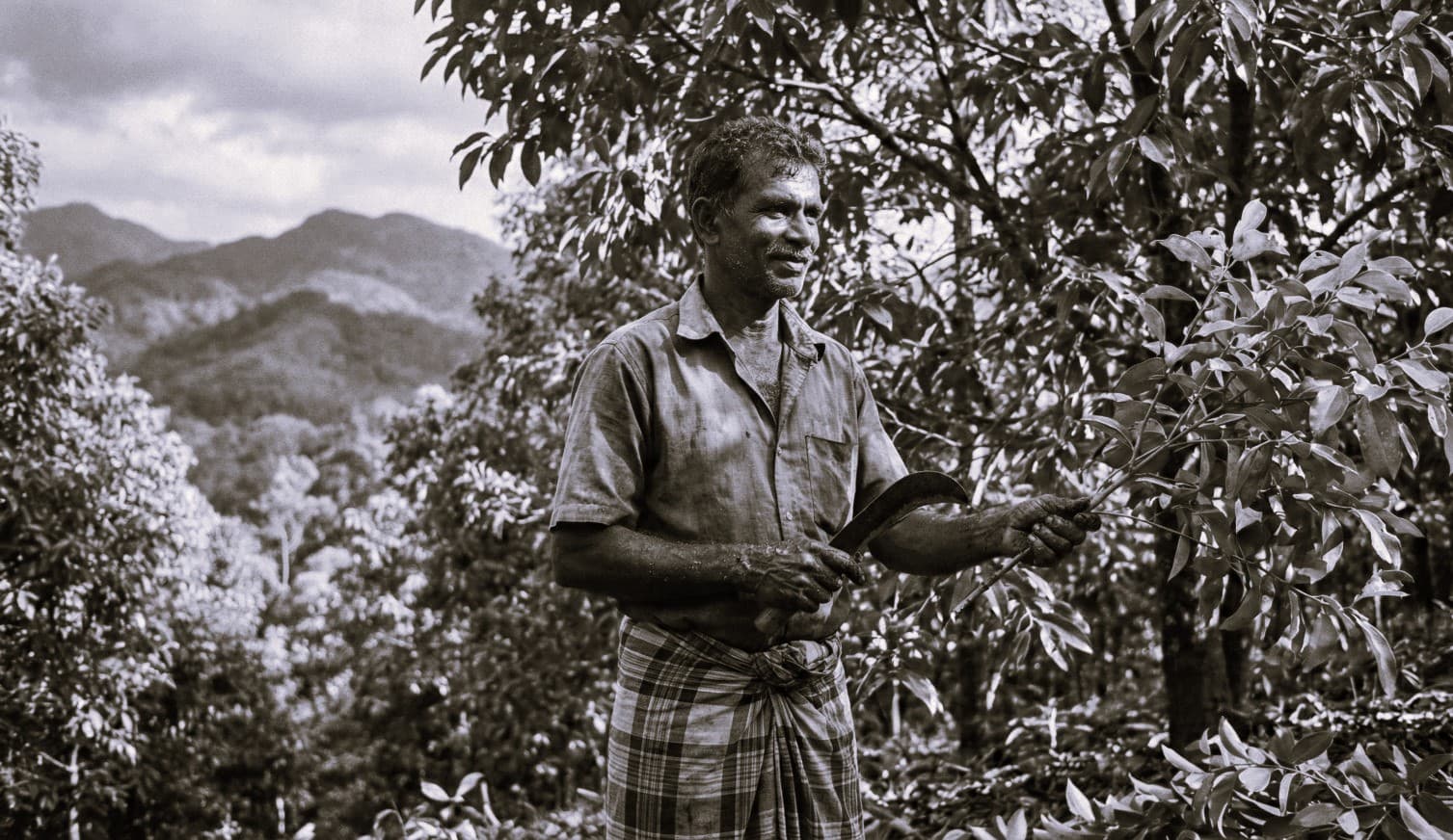 Sourcing & Global Traceability